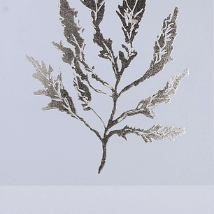 Cuadro Pensamientos Positivos Rama