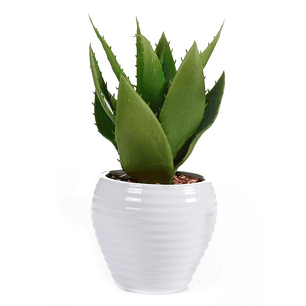 Aloe Decorativa en Pote Blanco
