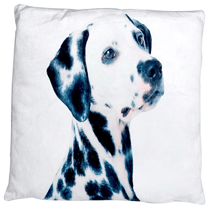 Cojín Dálmata