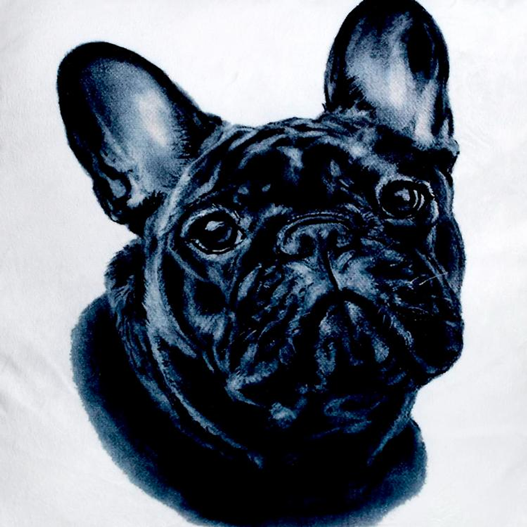 Cojín Bulldog Francés 3