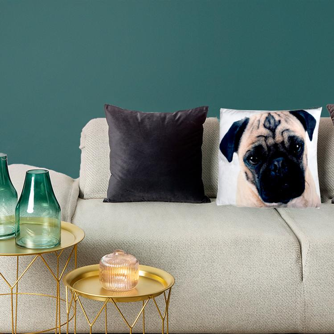 Cojín Pug 3