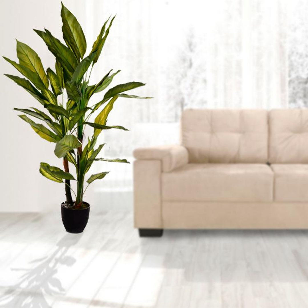 Planta Decorativa Aglaonema Variegado 125 cm 4