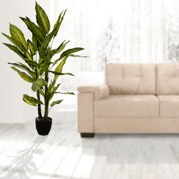 Planta Decorativa Aglaonema Variegado 125 cm 4