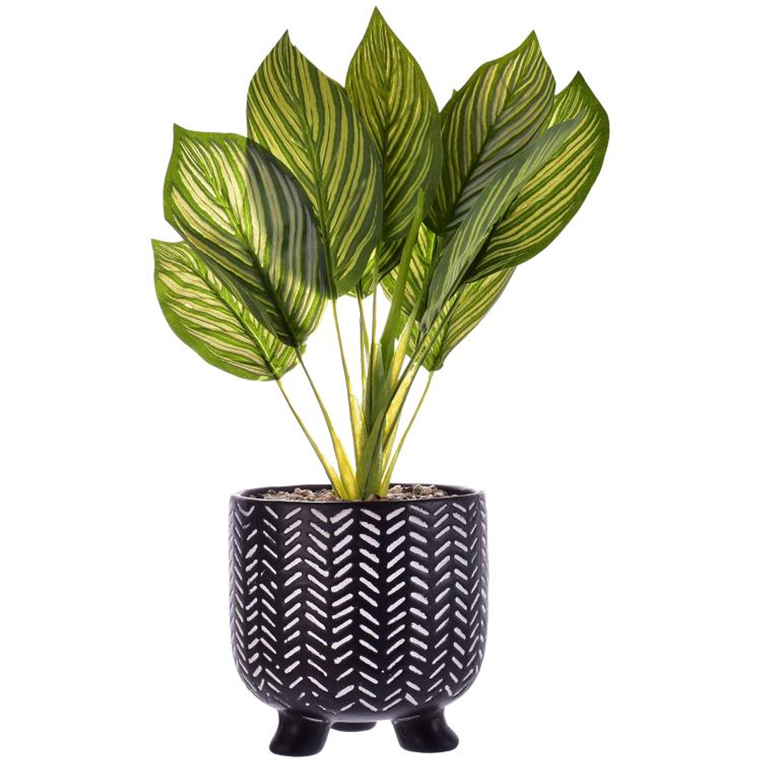 Planta Artificial Dieffenbachia Maceta Mali 1