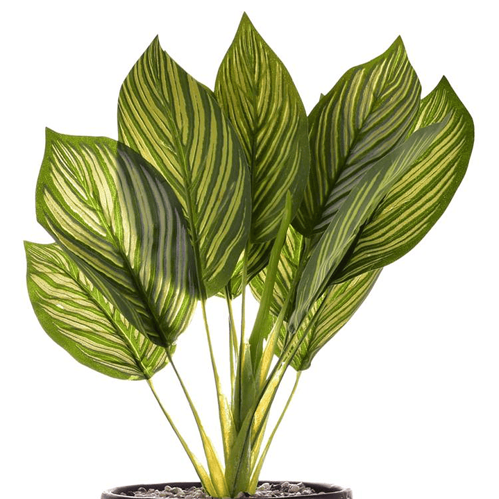 Planta Artificial Dieffenbachia Maceta Mali 3