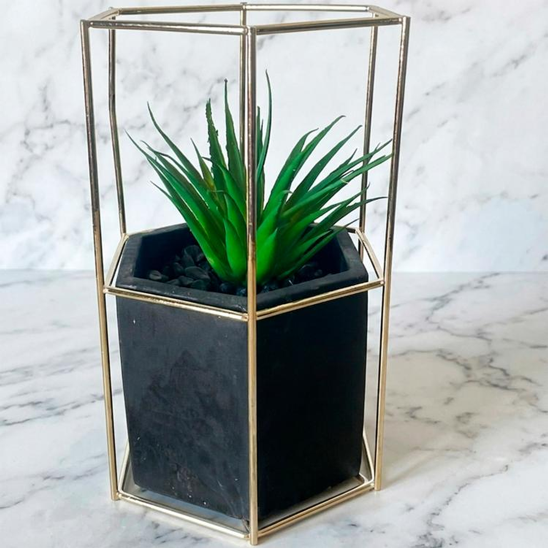 Planta Ágave Maceta Hexagonal - OUTLET 1