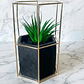 Planta Ágave Maceta Hexagonal - OUTLET - Miniatura 1