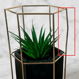 Planta Ágave Maceta Hexagonal - OUTLET