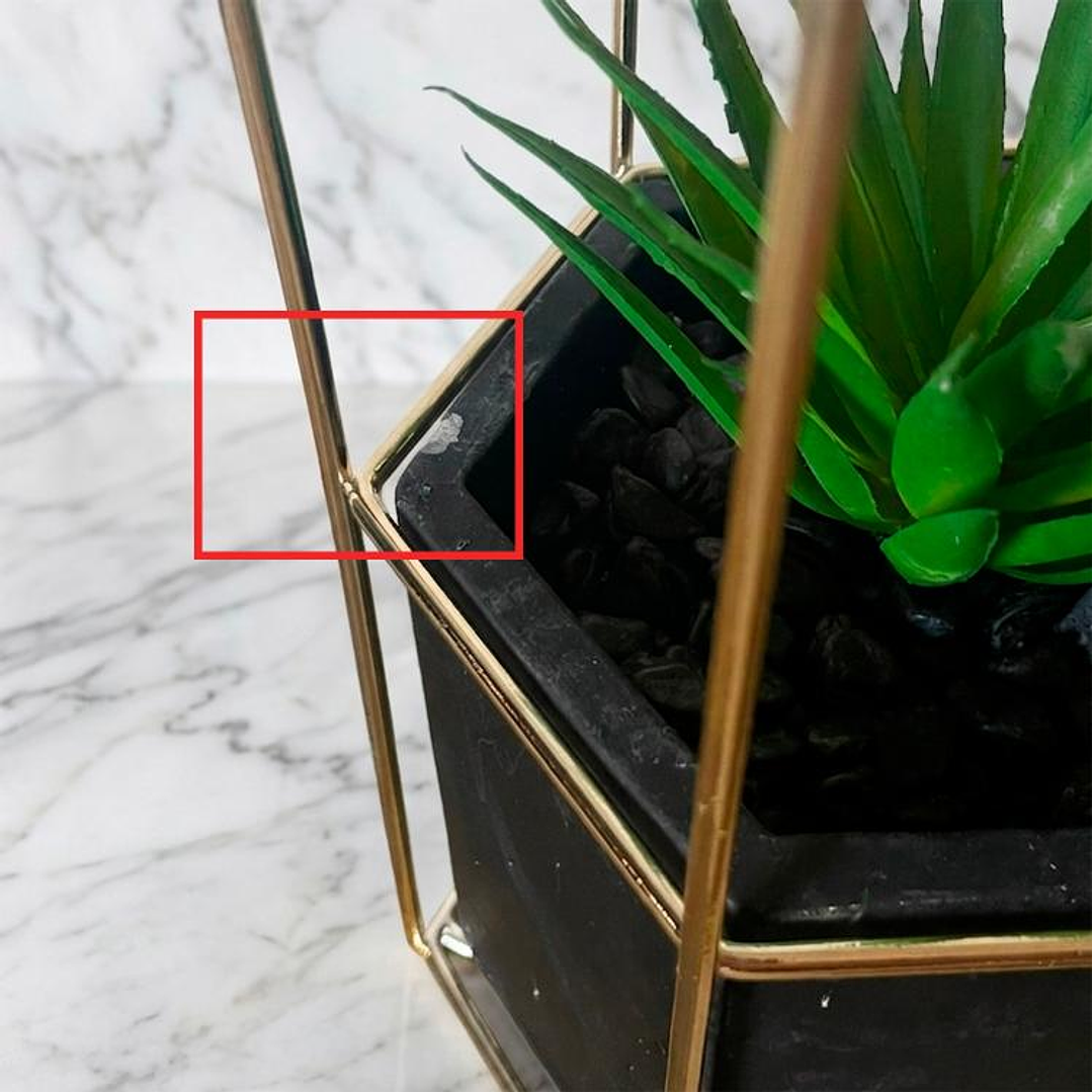 Planta Ágave Maceta Hexagonal - OUTLET 3