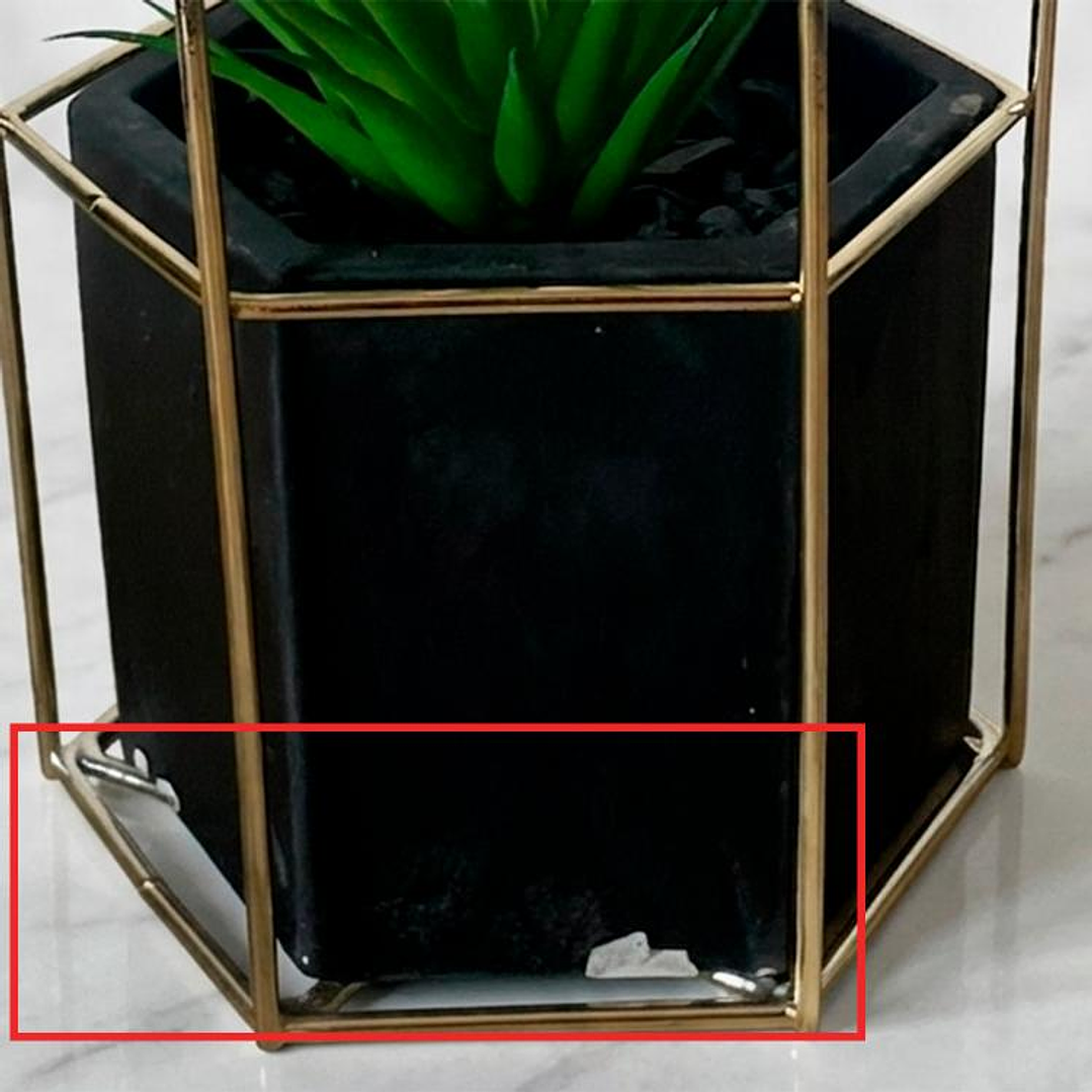 Planta Ágave Maceta Hexagonal - OUTLET 4