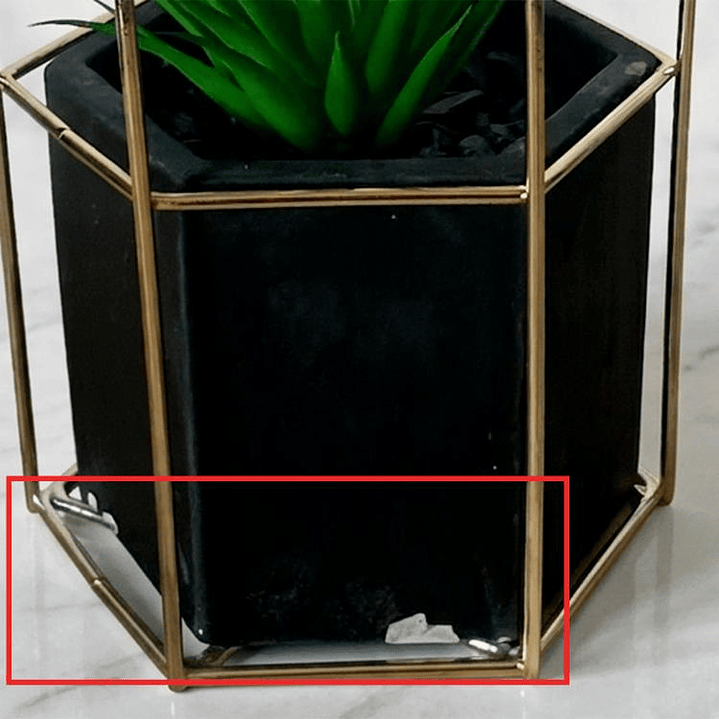 Planta Ágave Maceta Hexagonal - OUTLET 4