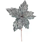 Poinsetia Navideña  - Miniatura 1