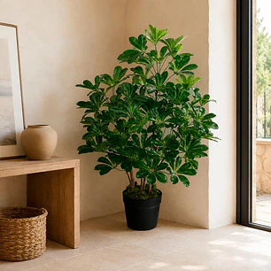 Planta Decorativa Schefflera Frondosa 90 cm