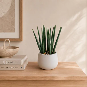 Planta Decorativa Asparragus Maceta Blanca