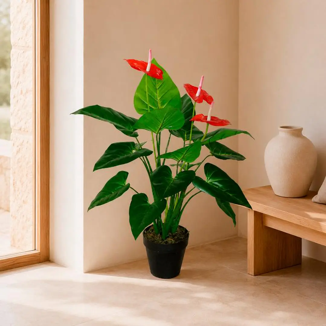 Planta Decorativa Anthurium 80 cm 1