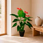 Planta Decorativa Anthurium 80 cm - Miniatura 1