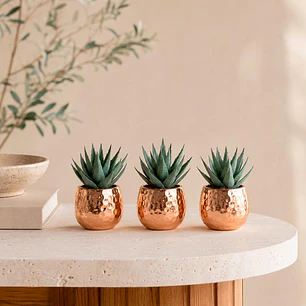 Set de Suculentas Decorativas Porcelana Cobre 3 Piezas