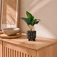 Planta Artificial Dieffenbachia Maceta Kenya - Miniatura 1