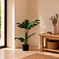 Planta Decorativa Artificial Monstera 60 cm - Miniatura 1
