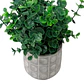 Planta Decorativa Artificial Eucaliptus Gunnii - Miniatura 2