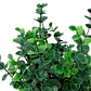 Planta Decorativa Artificial Eucaliptus Gunnii - Miniatura 3