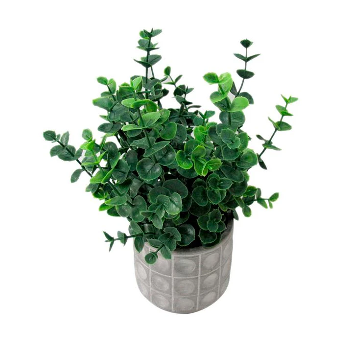 Planta Decorativa Artificial Eucaliptus Gunnii 4