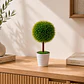 Planta Decorativa Artificial Moldeada Laurus - Miniatura 1