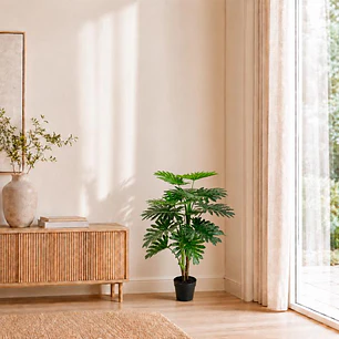Planta Decorativa Philodendron 90 cm