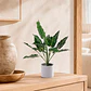 Planta Artificial Alocasia Zebrina Blanca - Miniatura 1