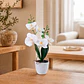 Planta Decorativa Artificial Orquídea Real Touch 43 cm  - Miniatura 1