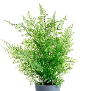 Planta Decorativa Artificial Follaje