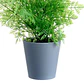 Planta Decorativa Artificial Follaje - Miniatura 3