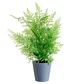 Planta Decorativa Artificial Follaje - Miniatura 1