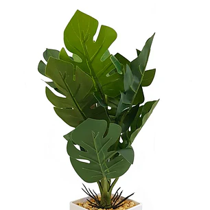 Planta Artificial Pata de Tigre Maceta Blanca