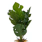Planta Artificial Pata de Tigre Maceta Blanca - Miniatura 2