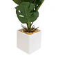 Planta Artificial Pata de Tigre Maceta Blanca - Miniatura 3