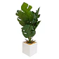 Planta Artificial Pata de Tigre Maceta Blanca - Miniatura 1