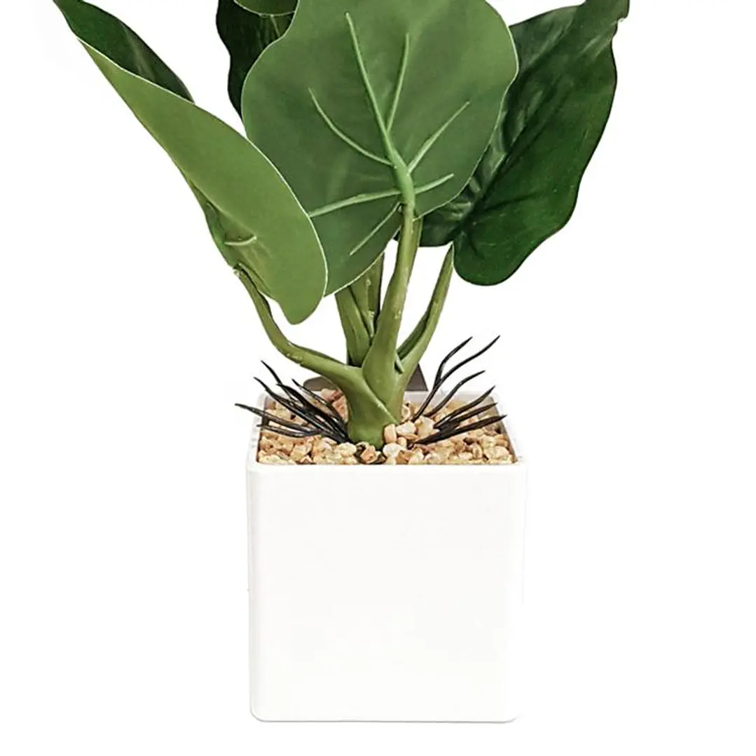 Planta Artificial Alocasia Maceta Blanca 2