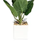 Planta Artificial Alocasia Maceta Blanca - Miniatura 2