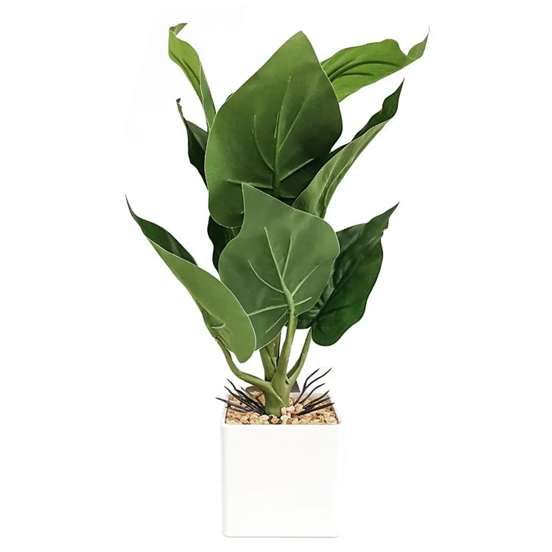 Planta Artificial Alocasia Maceta Blanca 1