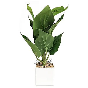Planta Artificial Alocasia Maceta Blanca