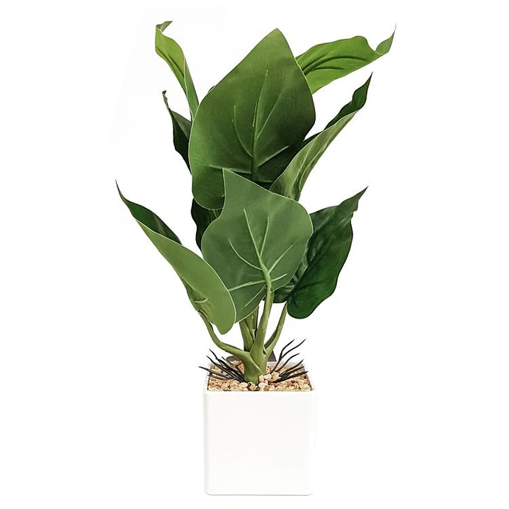 Planta Artificial Alocasia Maceta Blanca 1
