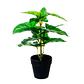Planta Artificial Philodendron 35 Cms - Miniatura 1