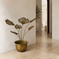 Centro de Mesa Decorativo Metálica Gingko - Miniatura 2
