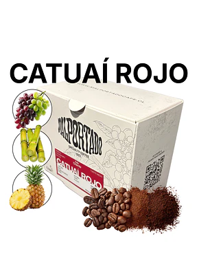 CATUAÍ ROJO