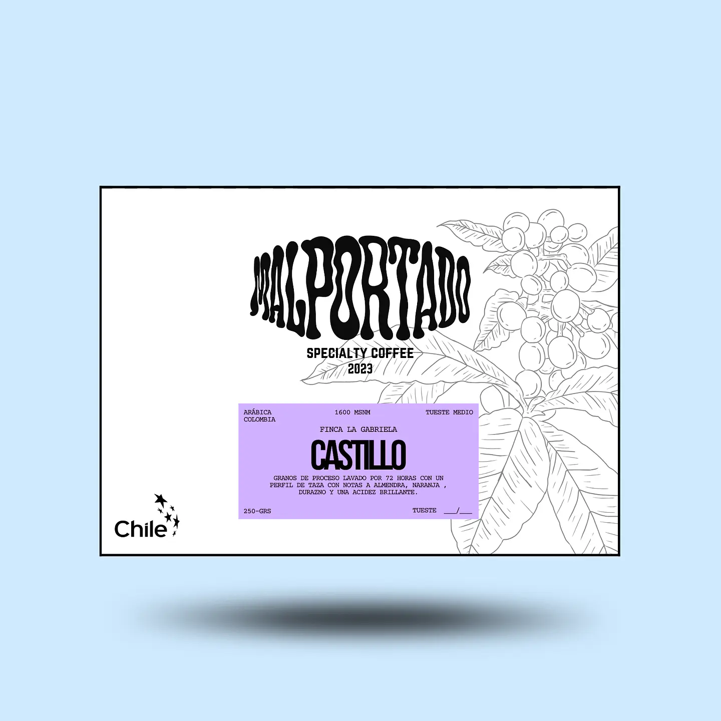 CASTILLO 1
