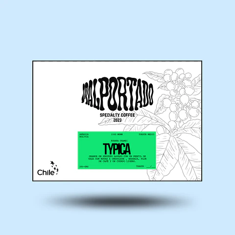 TYPICA