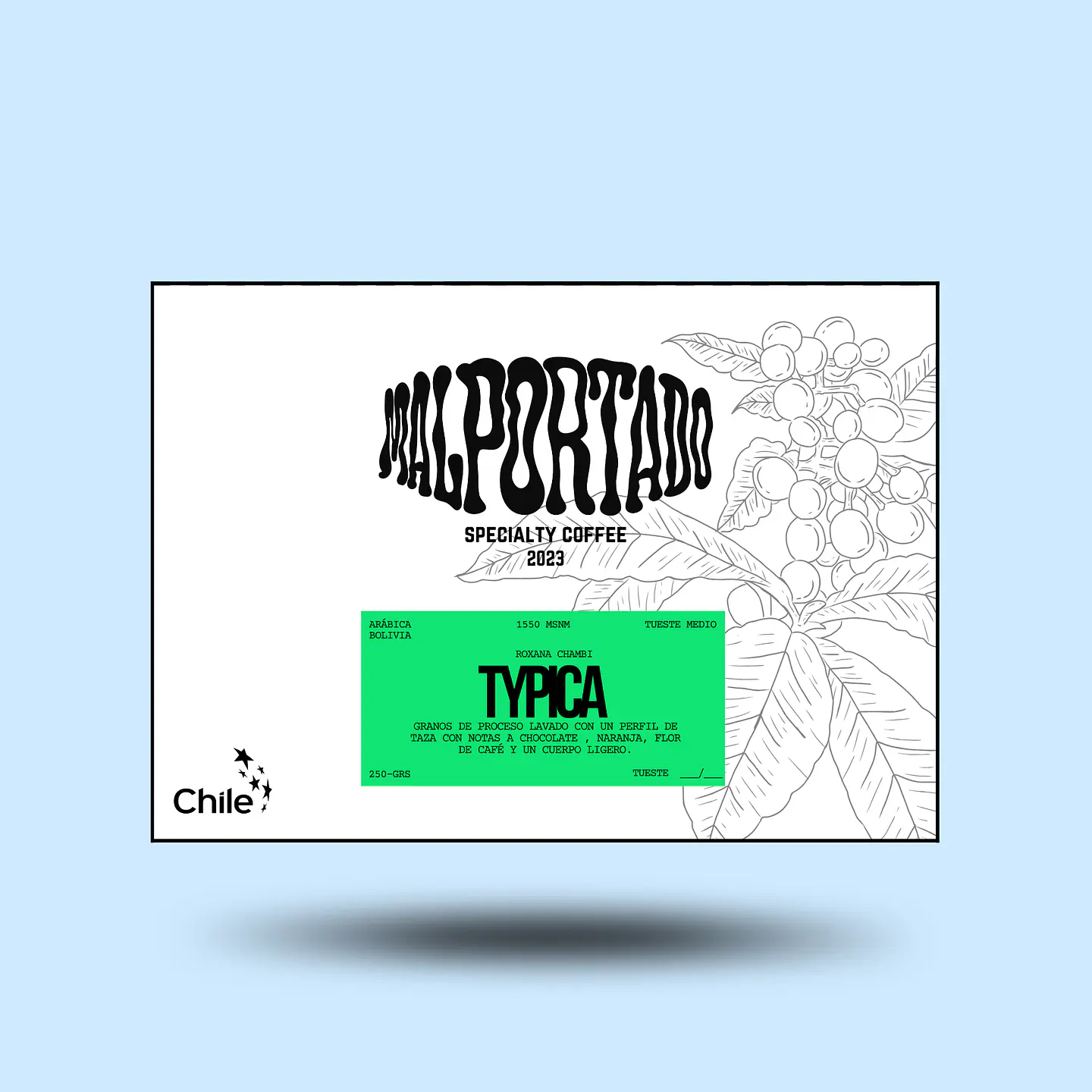 TYPICA 1