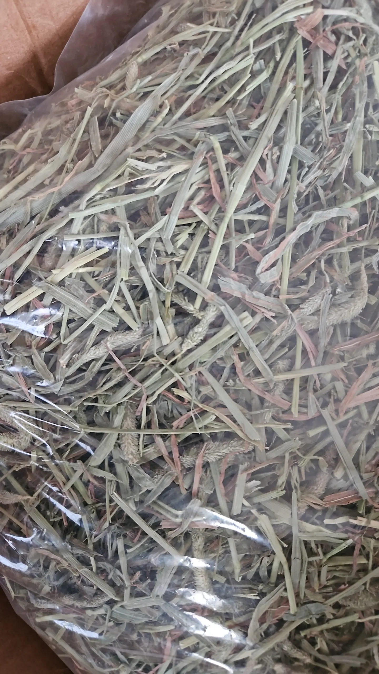 Heno Timothy Premium Libre de Polvo (Conejos, Cuyos y Chinchillas) 1