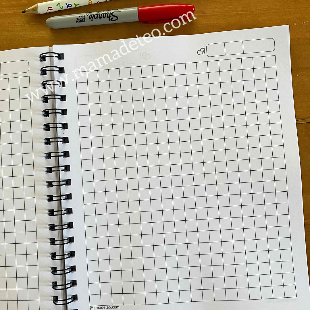 Pack: 8 Cuadernos universitarios cuadrícula grande 2